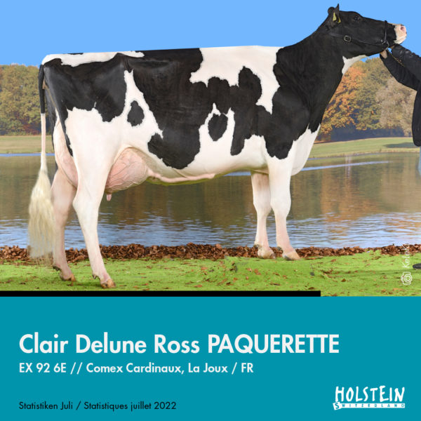 01-Clair-Delune-Ross-PAQUERETTE