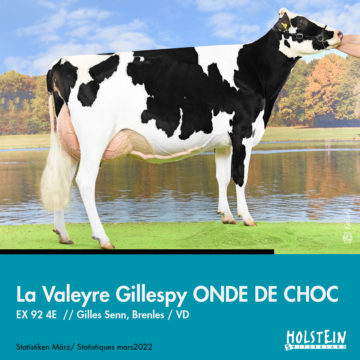 01La-Valeyre-Gillespy-ONDE-DE-CHOC