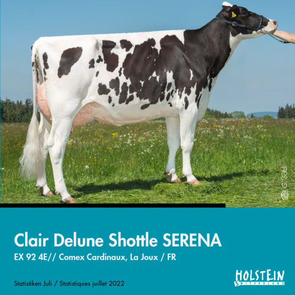 02-Clair-Delune-Shottle-SERENA