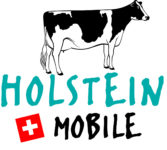 logo_holsein_mobile logo_holsein_mobile