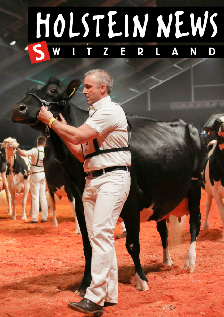 Holstein News Juin 2019