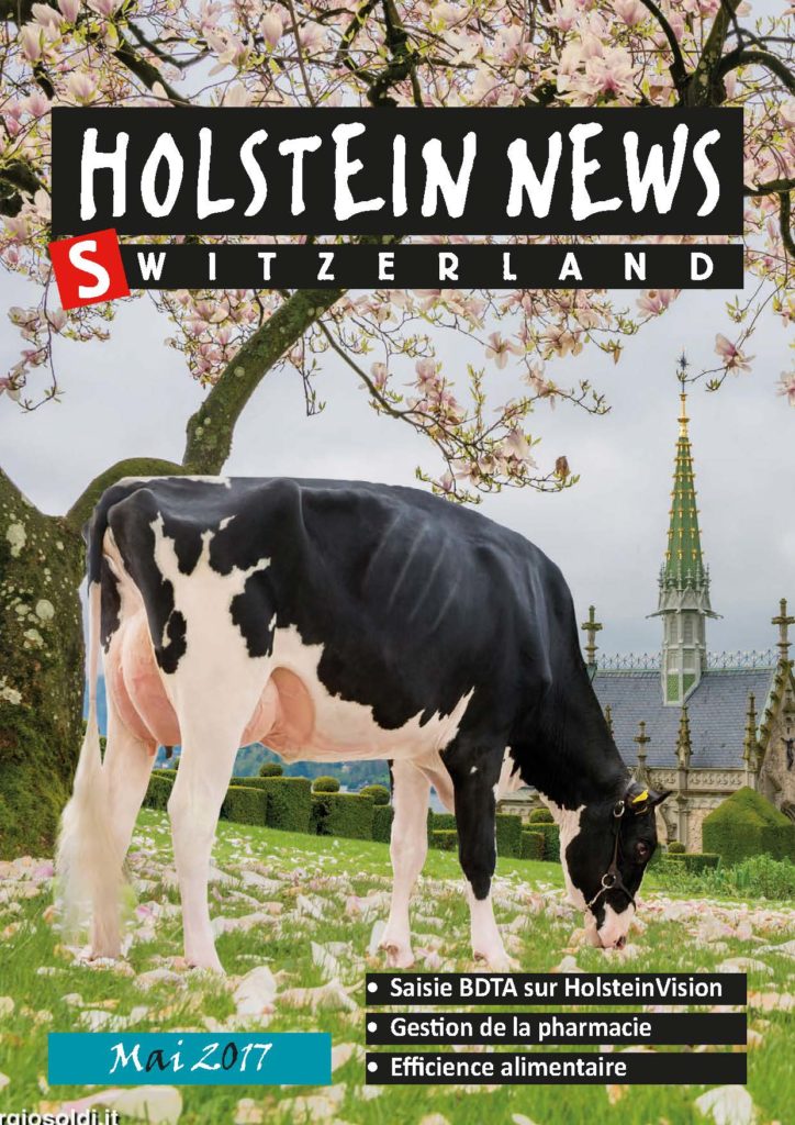 Holstein News Mai 2017