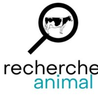Recherche Animale