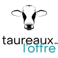 taureaux-dans-l'offre