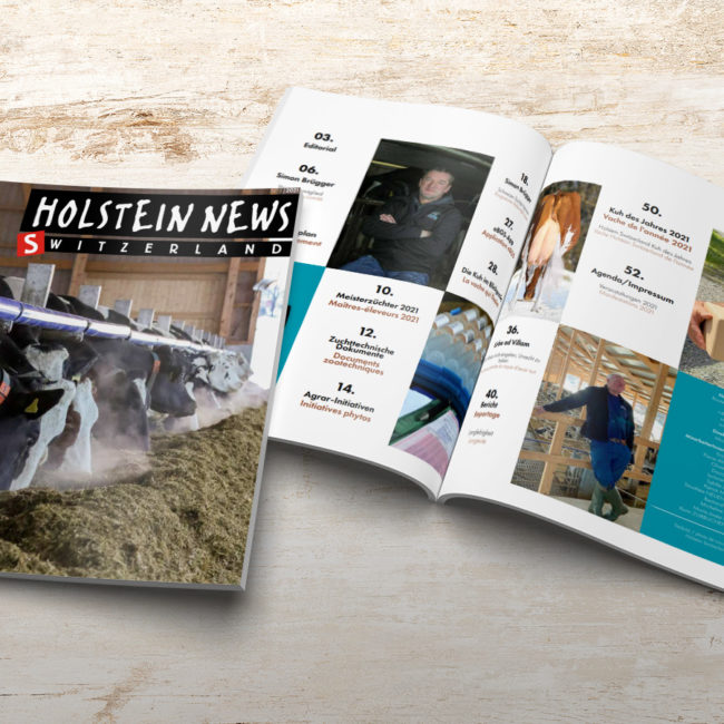 Holstein News mars 2021