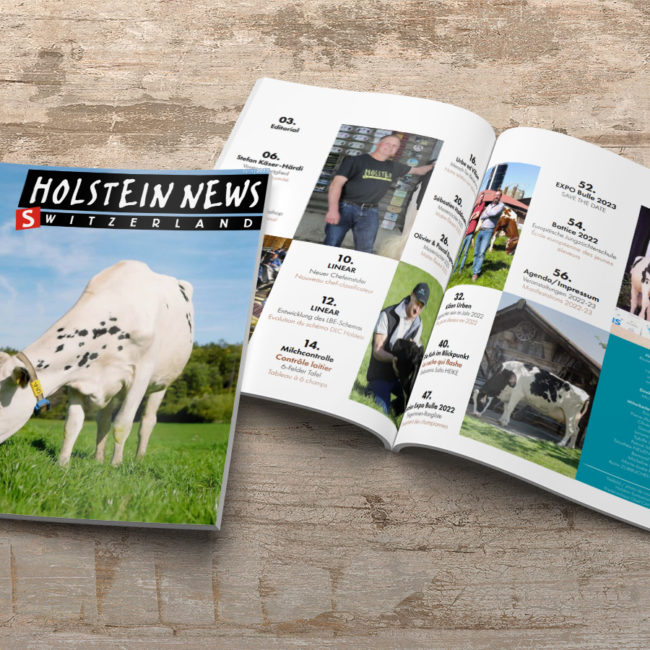 Holstein News décembre 22