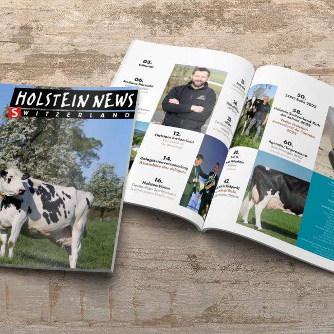 Holstein News juin 22