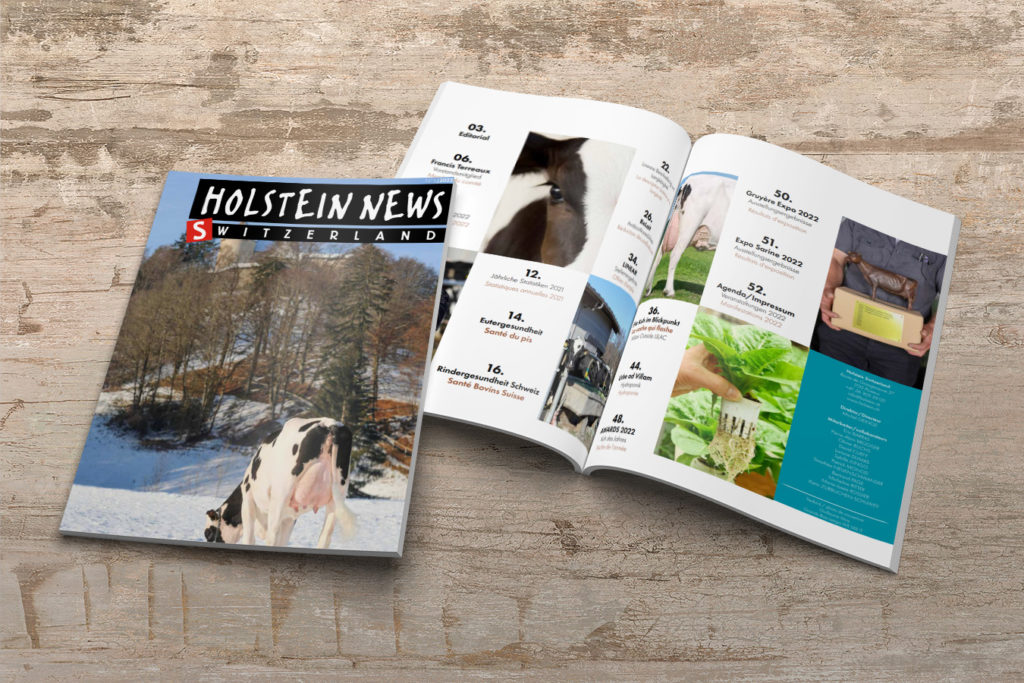 Holstein News mars 22