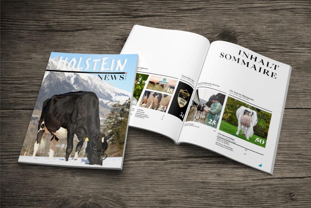 Holstein News mars 23