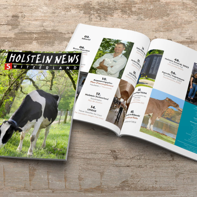 Holstein News sept 22