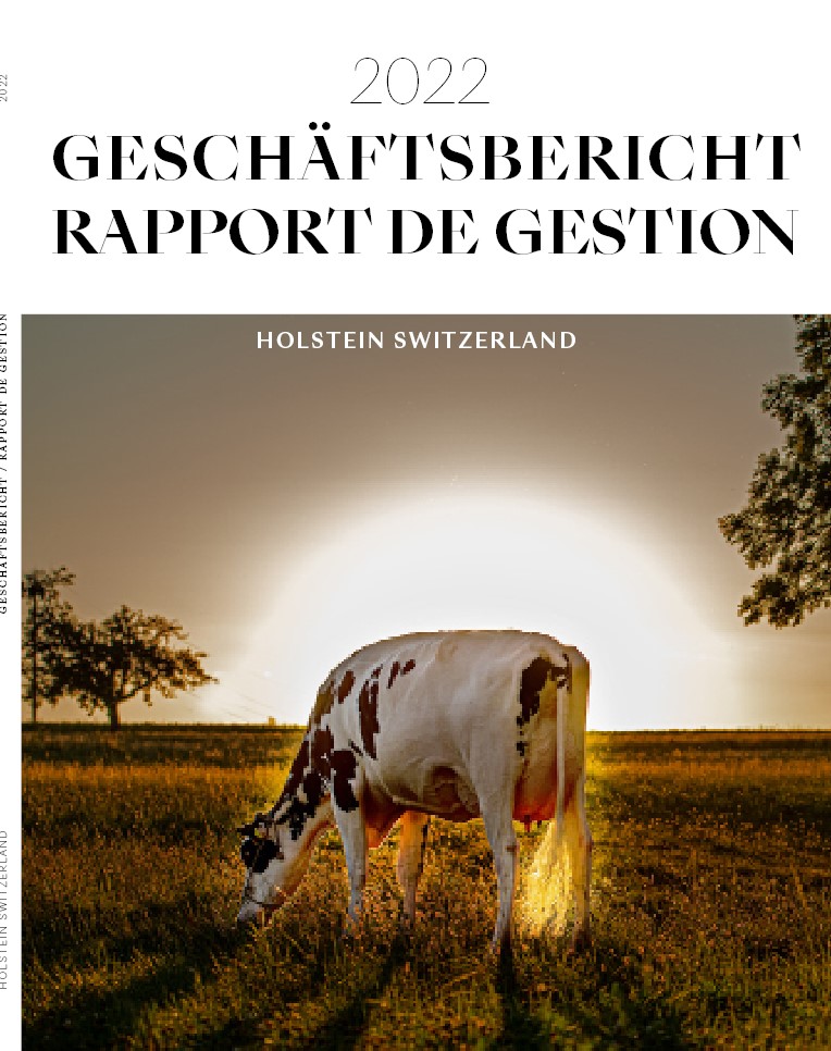 Rapport de gestion 2022