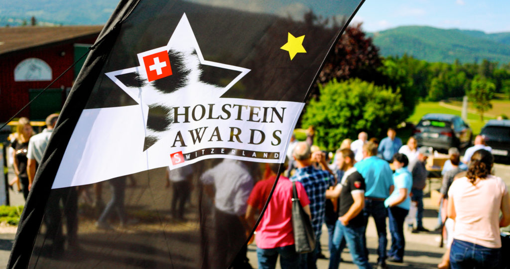 Holstein Awards