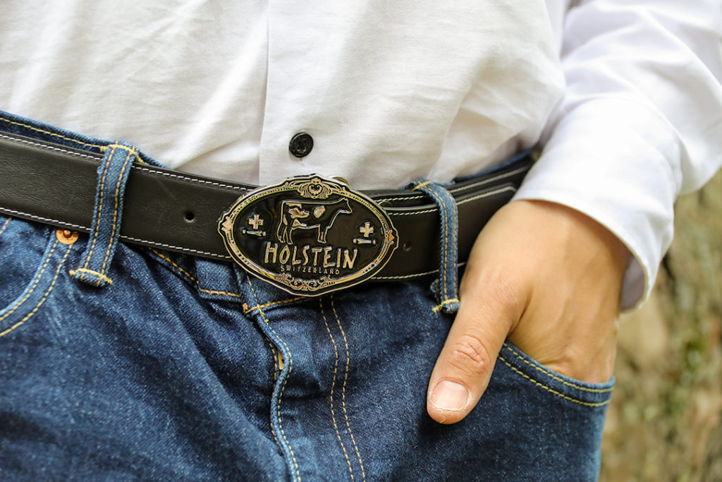 Ceinture Holstein Switzerland