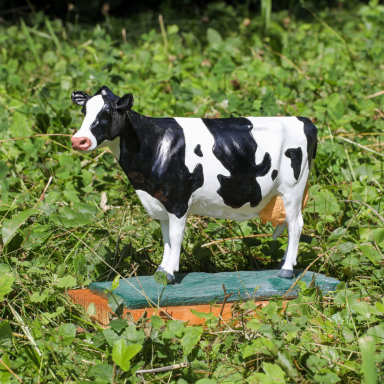 Vache modèle Holstein