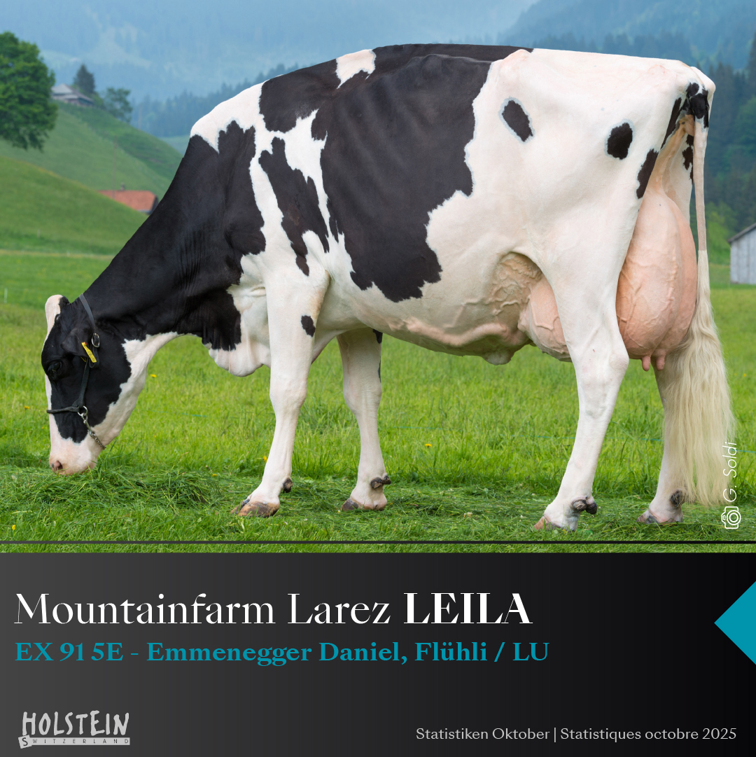 Mountainfarm Larez LEILA