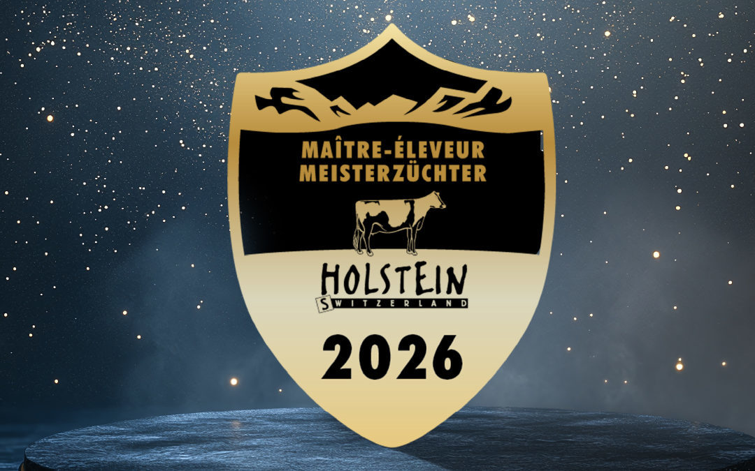 Plan de travail 1web