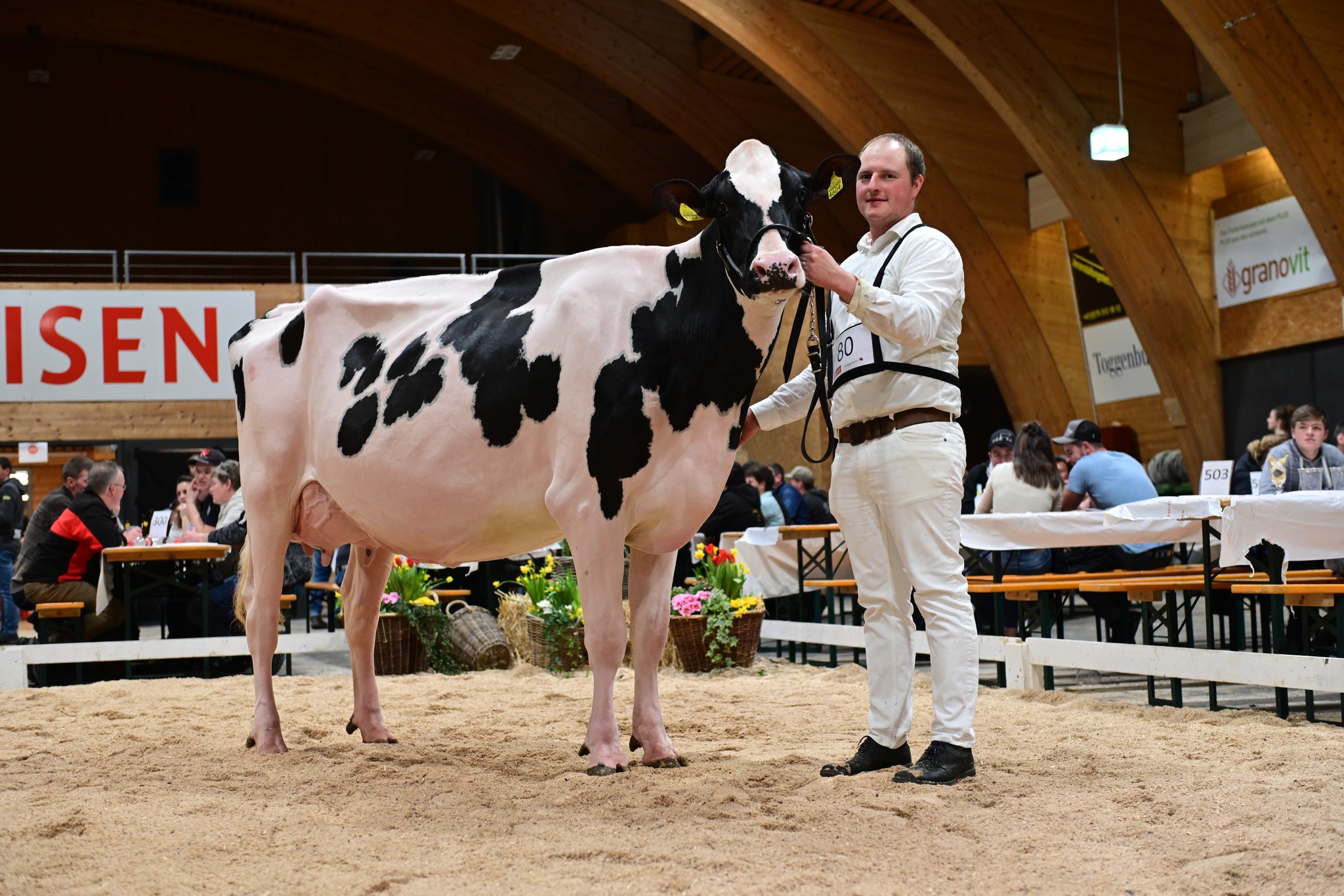 80-IZZY-GOLD-ostschweiz-Eliteschau