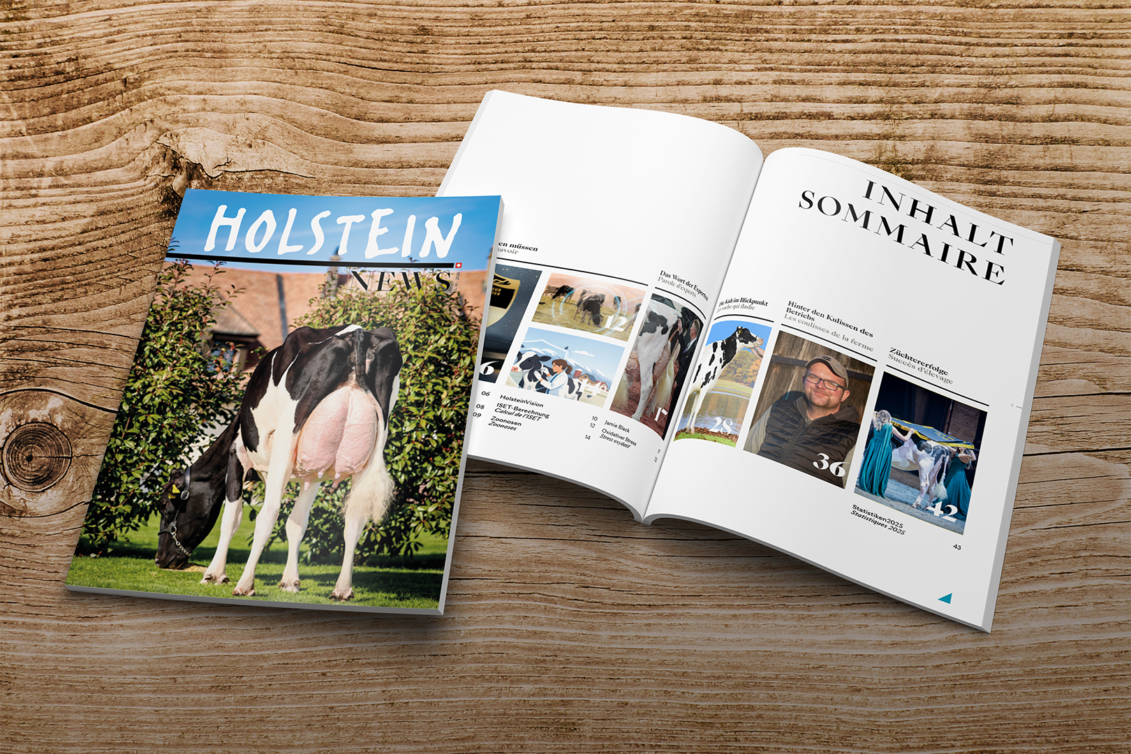 web2025-Mockup-Paysage