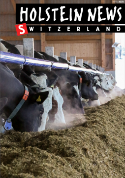 couverture holstein news mars 2021