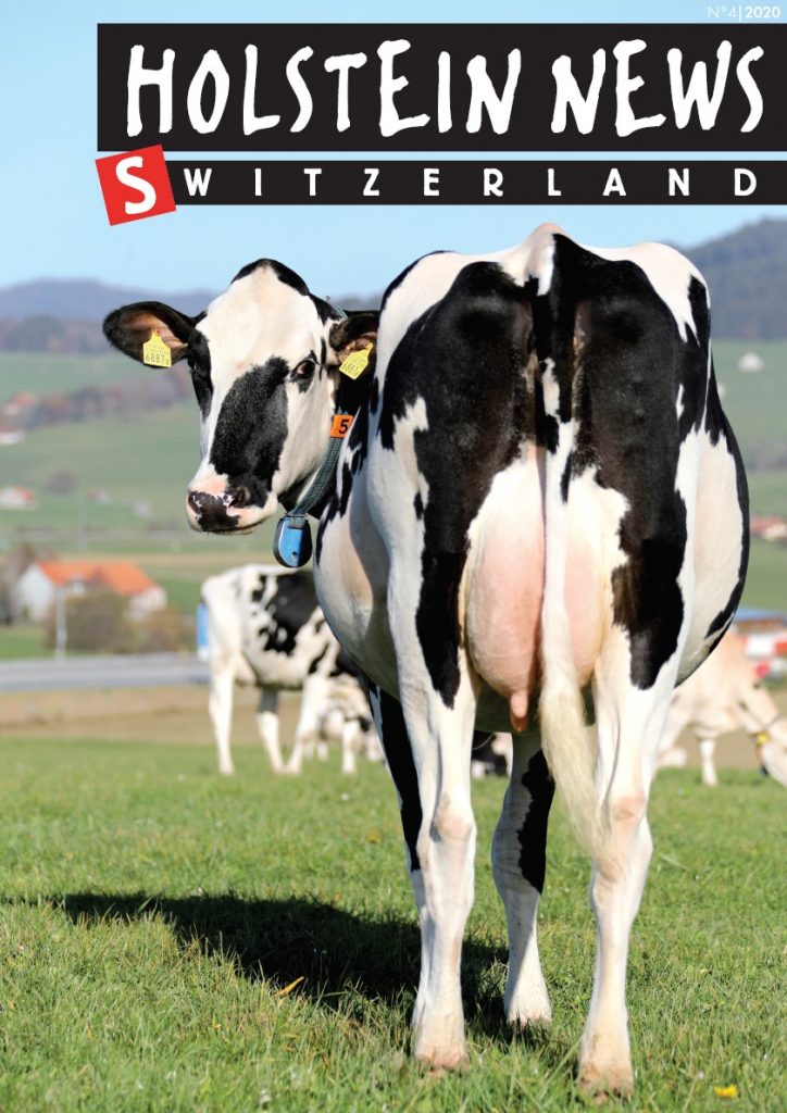 Holstein News décembre 2020