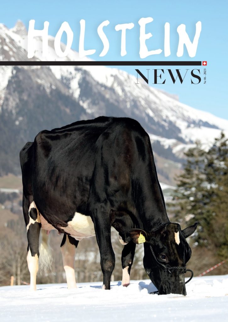 Holstein News mars 2023