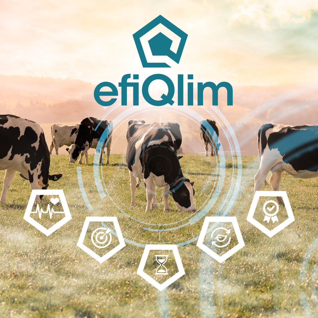 Holstein Switzerland lance efiQlim