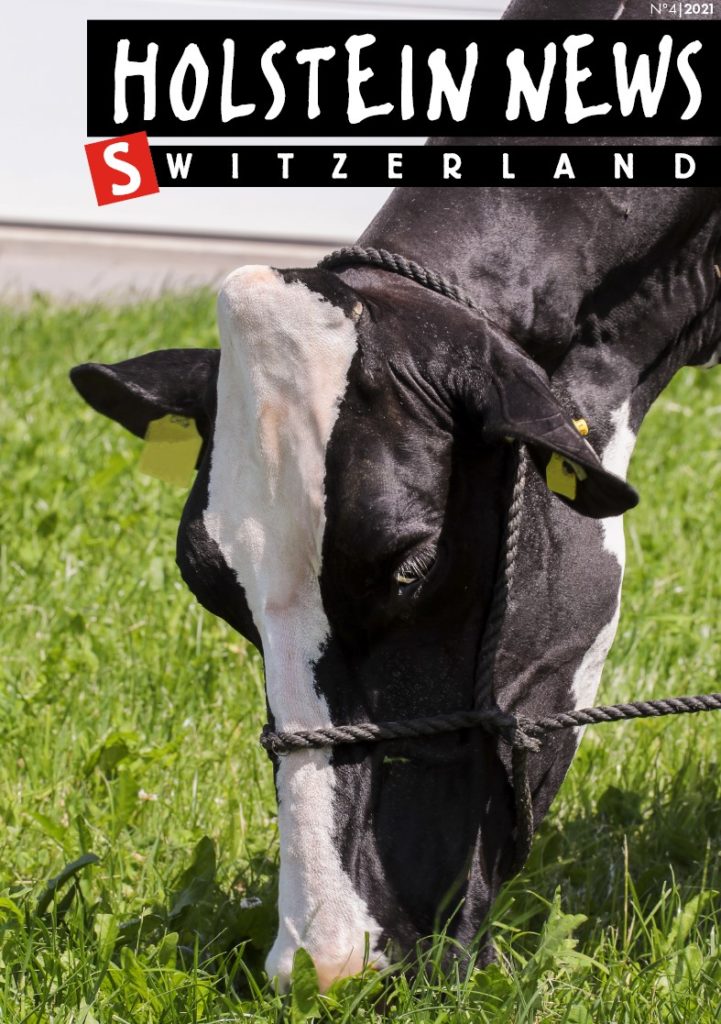 Holstein News décembre 2021