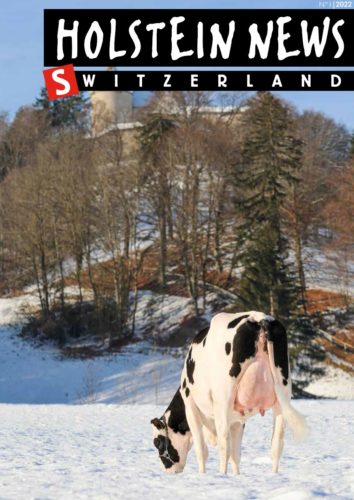 Holstein News märz