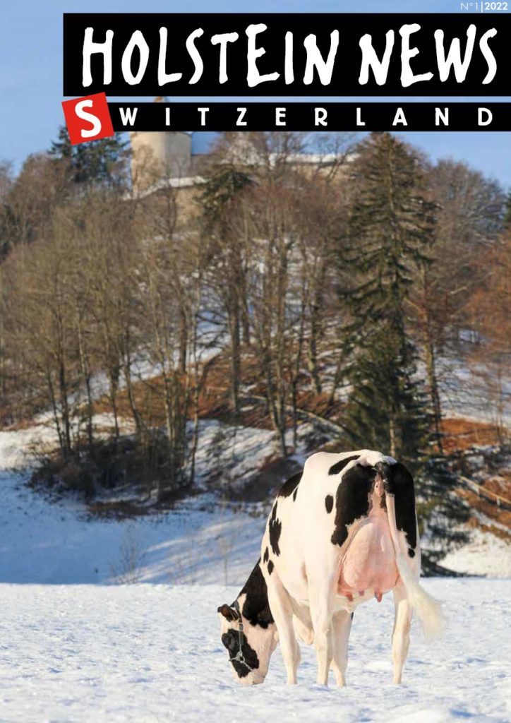Holstein News mars