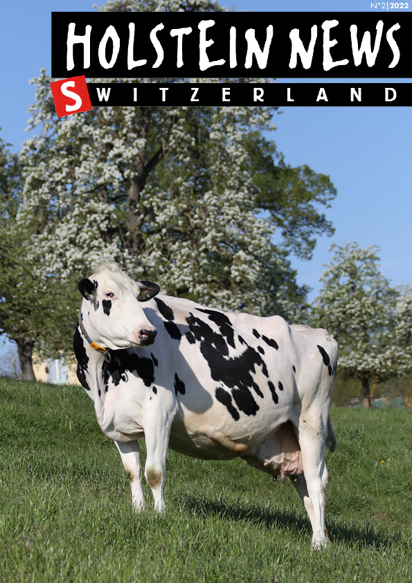 Holstein News juin 2022