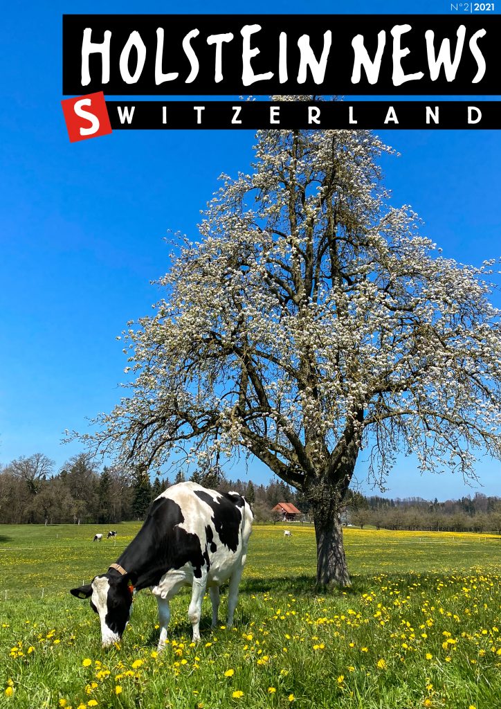 Holstein News juin 2021