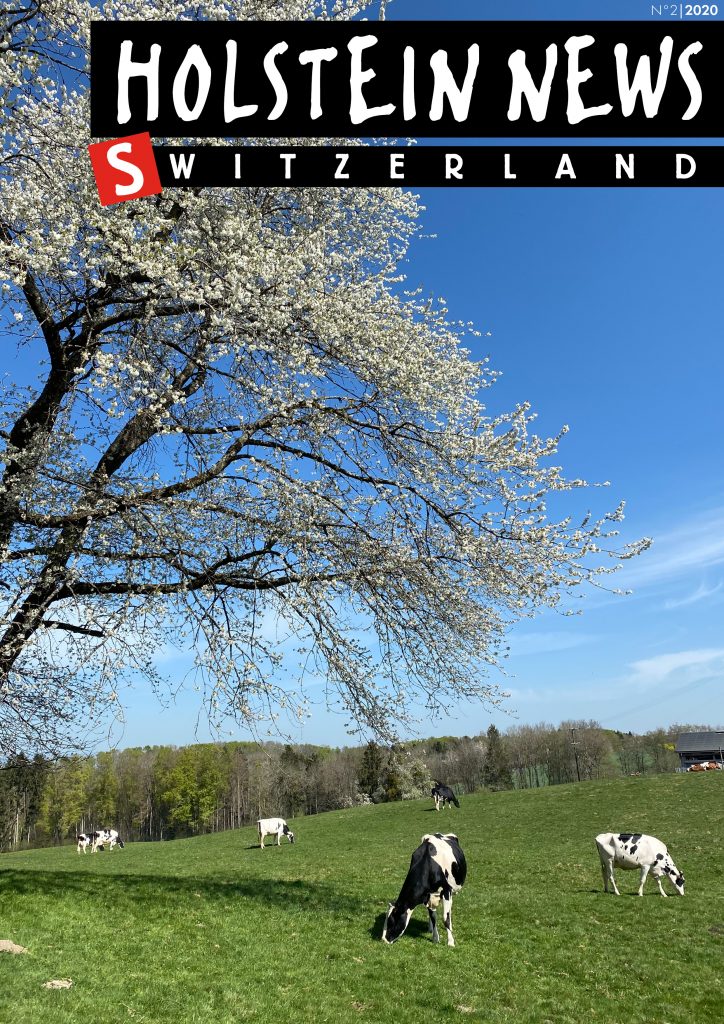Holstein News Juni 2020
