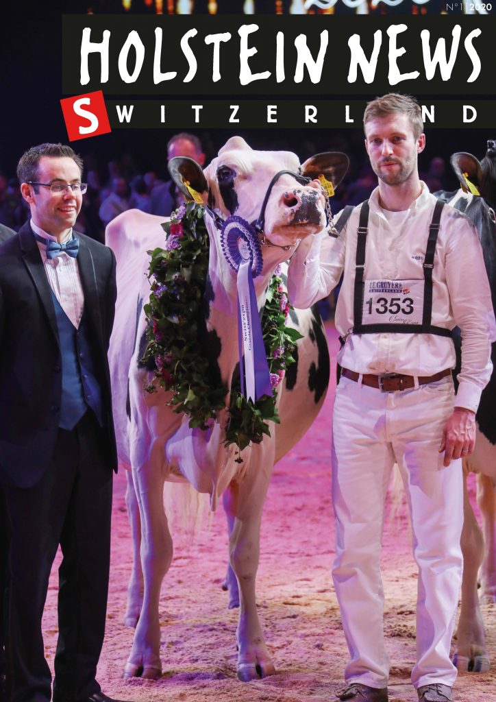 Holstein News Mars 2020