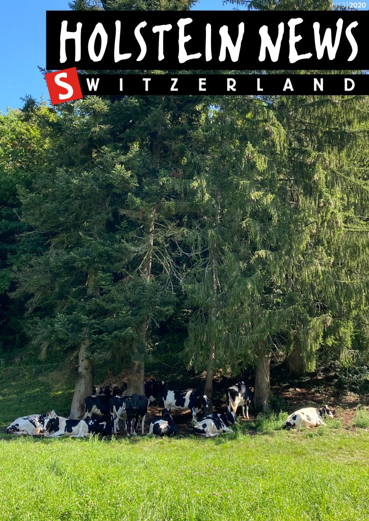 Holstein News septembre 2020