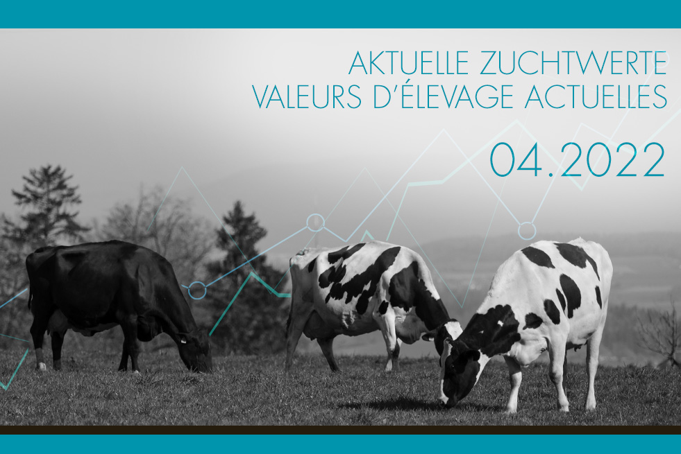Valeurs d'élevage au 04.2022