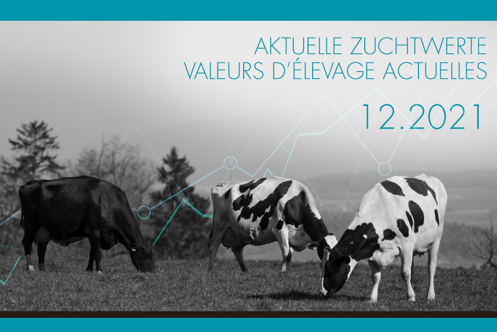 Valeurs d'élevage au 12.2021