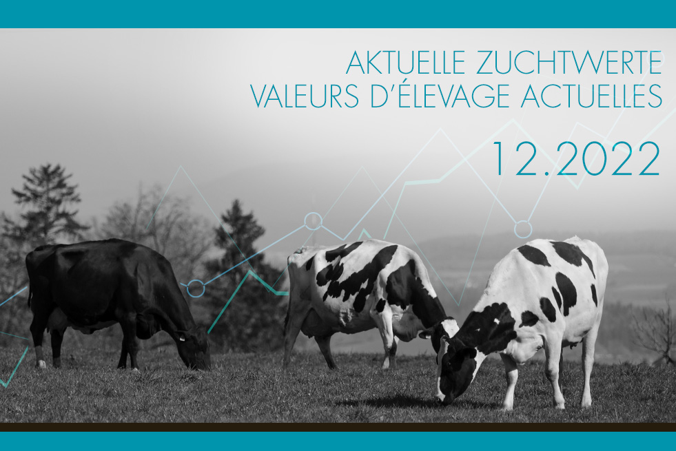 Valeurs d'élevage au 12.2022