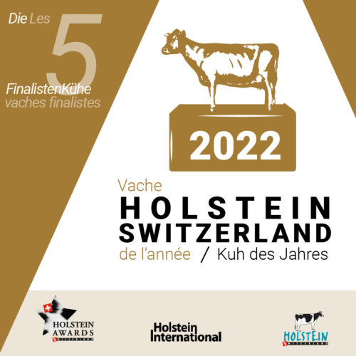 5FinalistenKuehe-holstein-switzerland-kuh-des-jahres-5-vaches-finalistes-vache-holstein-switzerland-de-l-annee-2022