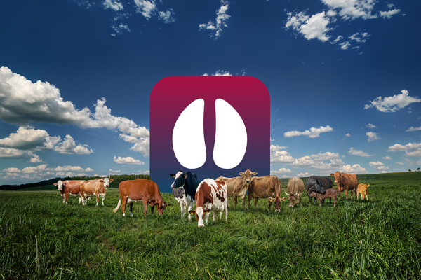 SHD_KeyVisual