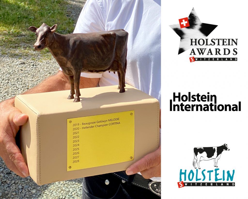 trophee-Vache-holstein-annee-2021