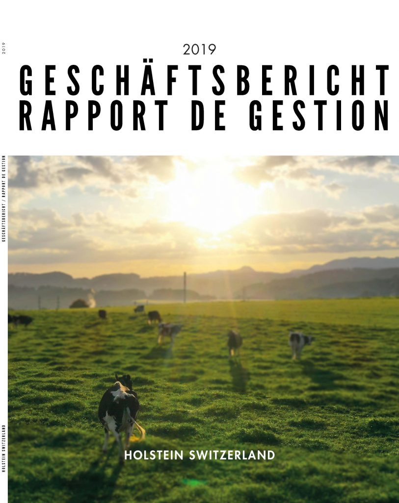 Rapport de gestion et cahier statistique 2019
